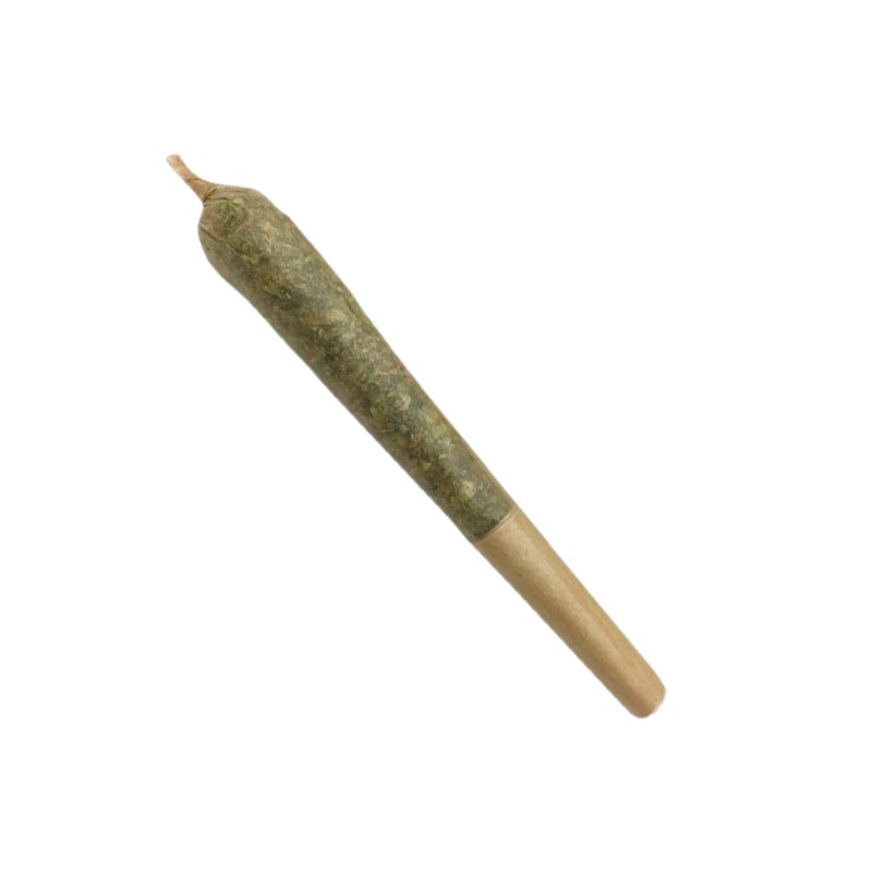 Mailman - Future Island - Pre-Roll