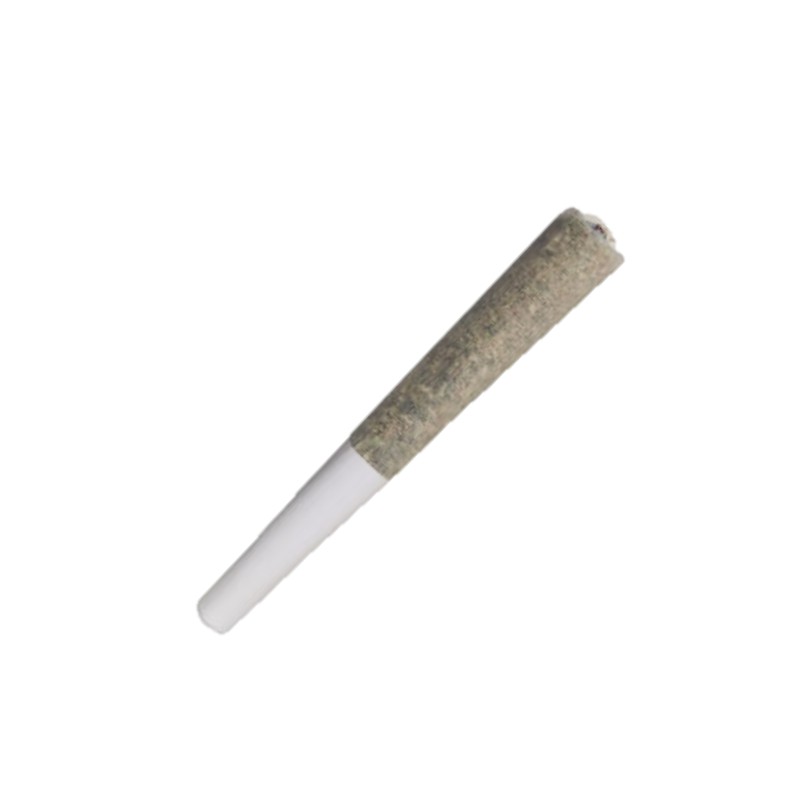 Prime Bloom - Trico Loco - Pre-Roll