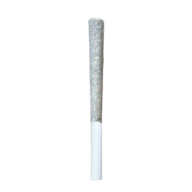 Irony - Blueberry Muffin - Pre-Roll