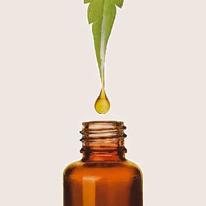 Edible Cannabis Oils