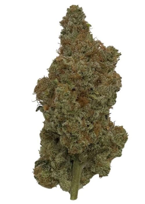 Prime Bloom - Slurricane