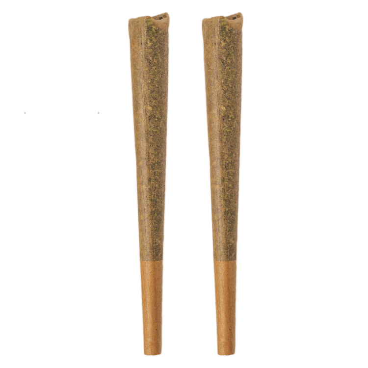 Bold - Glazed Sativa - Pre-Roll